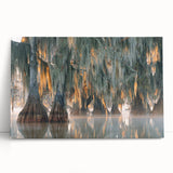 Black and white photo of Louisiana scenery on stretched canvas, ideal for kitchen wall art.