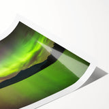 Extra large wall art featuring line art flowers in black on white, rolled print, ideal for large living room decor.