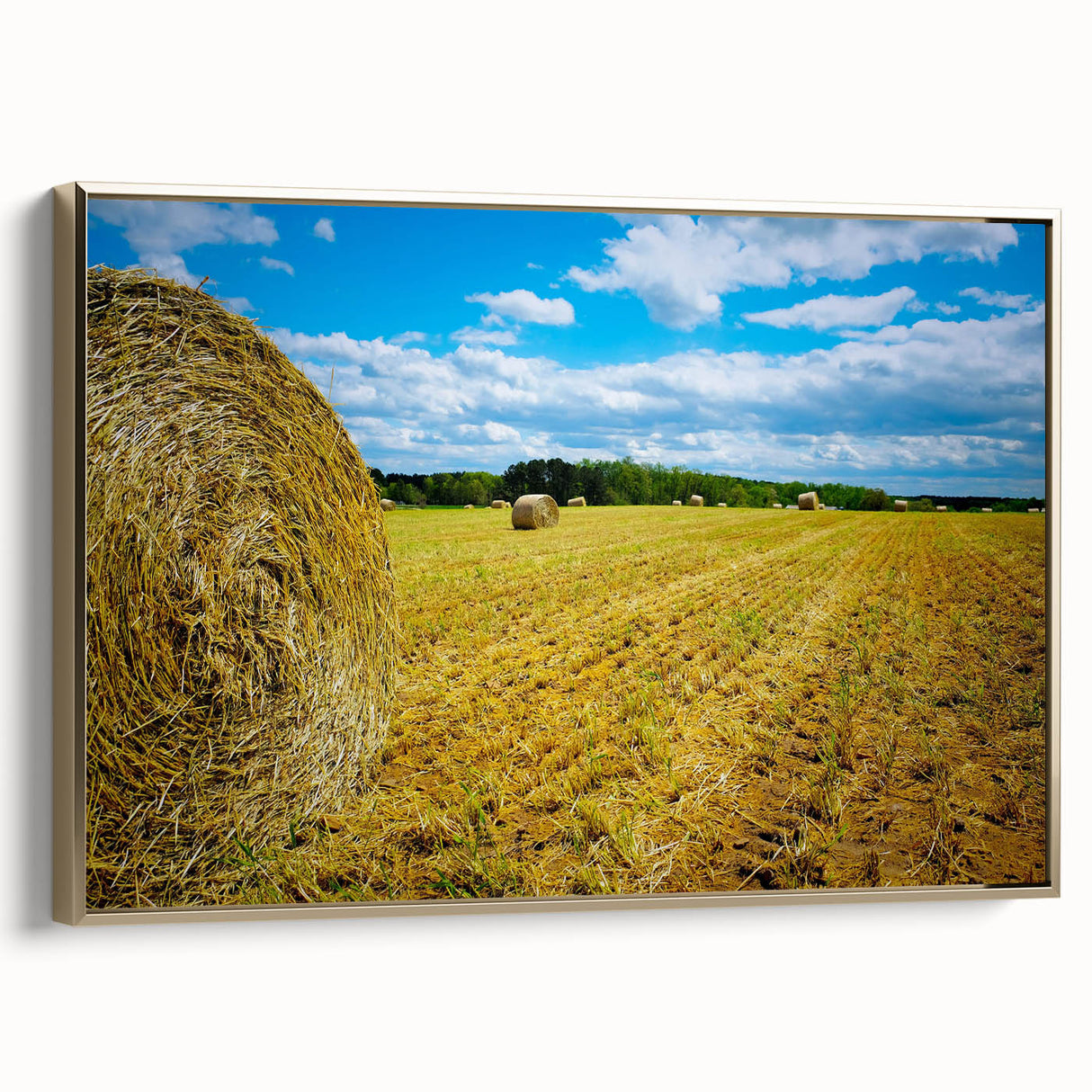 Framed canvas featuring a vintage-style landscape painting of Raleigh, North Carolina, in black and gold tones.