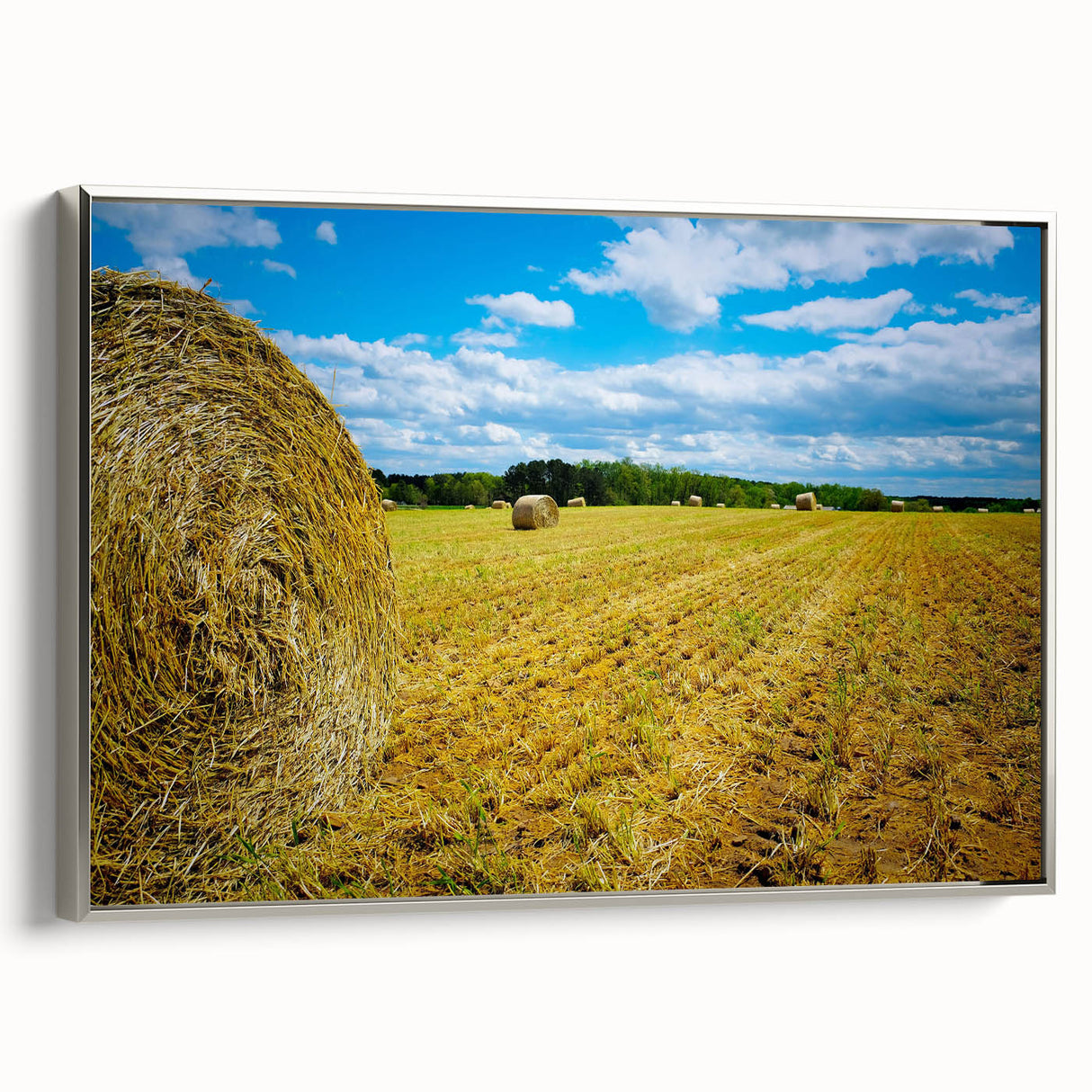 Framed canvas of a colorful Raleigh, North Carolina landscape with vintage poster style, ideal for living room decor.
