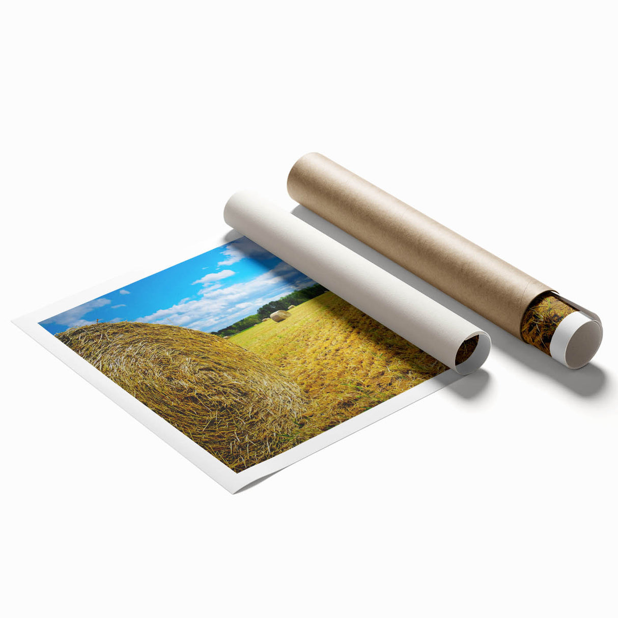 Extra large rolled print of Raleigh, North Carolina scenery in soft pastel colors, ideal for classy bathroom wall art.