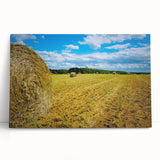 Black and white stretched canvas of Raleigh skyline, ideal for kitchen wall art or bedroom ambiance.
