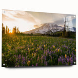 Acrylic print of Mount Rainier with a clear sky, in soft blue and white tones, ideal for bedroom or dining room decor.