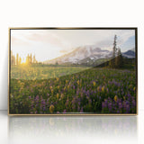 Framed acrylic print of Mount Rainier with golden hues, ideal for modern art wall decor.