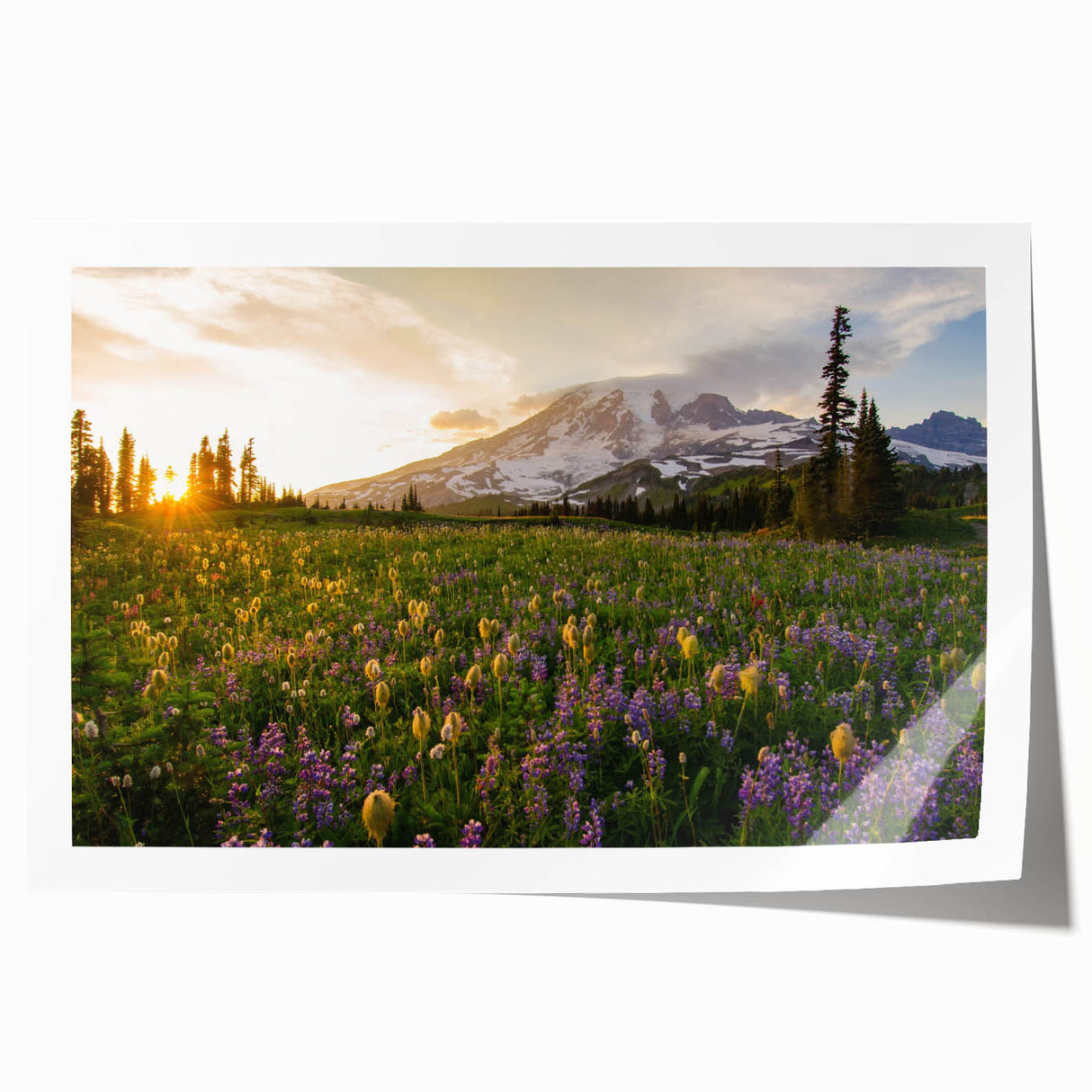Rolled print of Mount Rainier with soft pastel shades, perfect for art wall dining room decor.