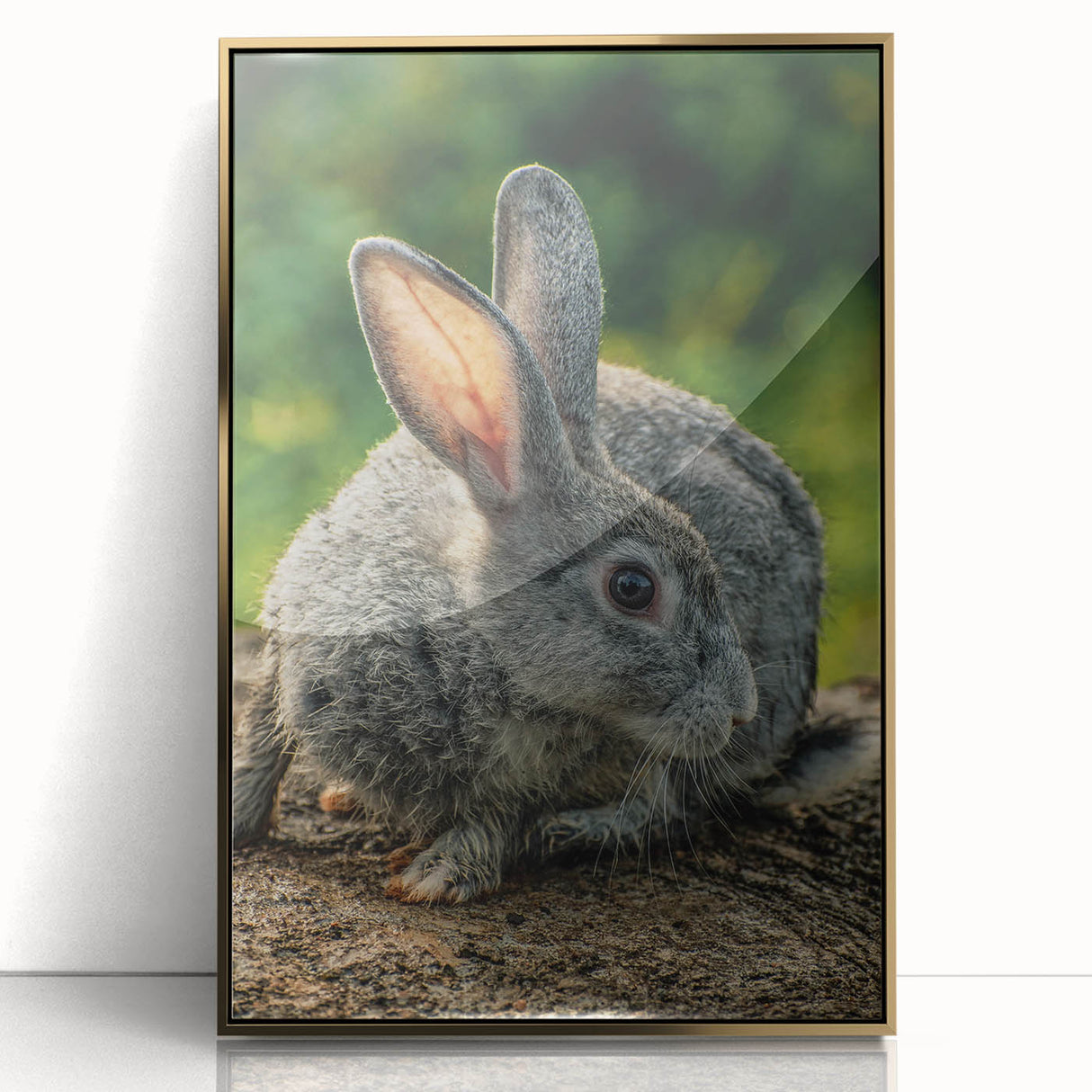 Large art print featuring a mid-century modernist spring scene in pastel shades on a framed acrylic.