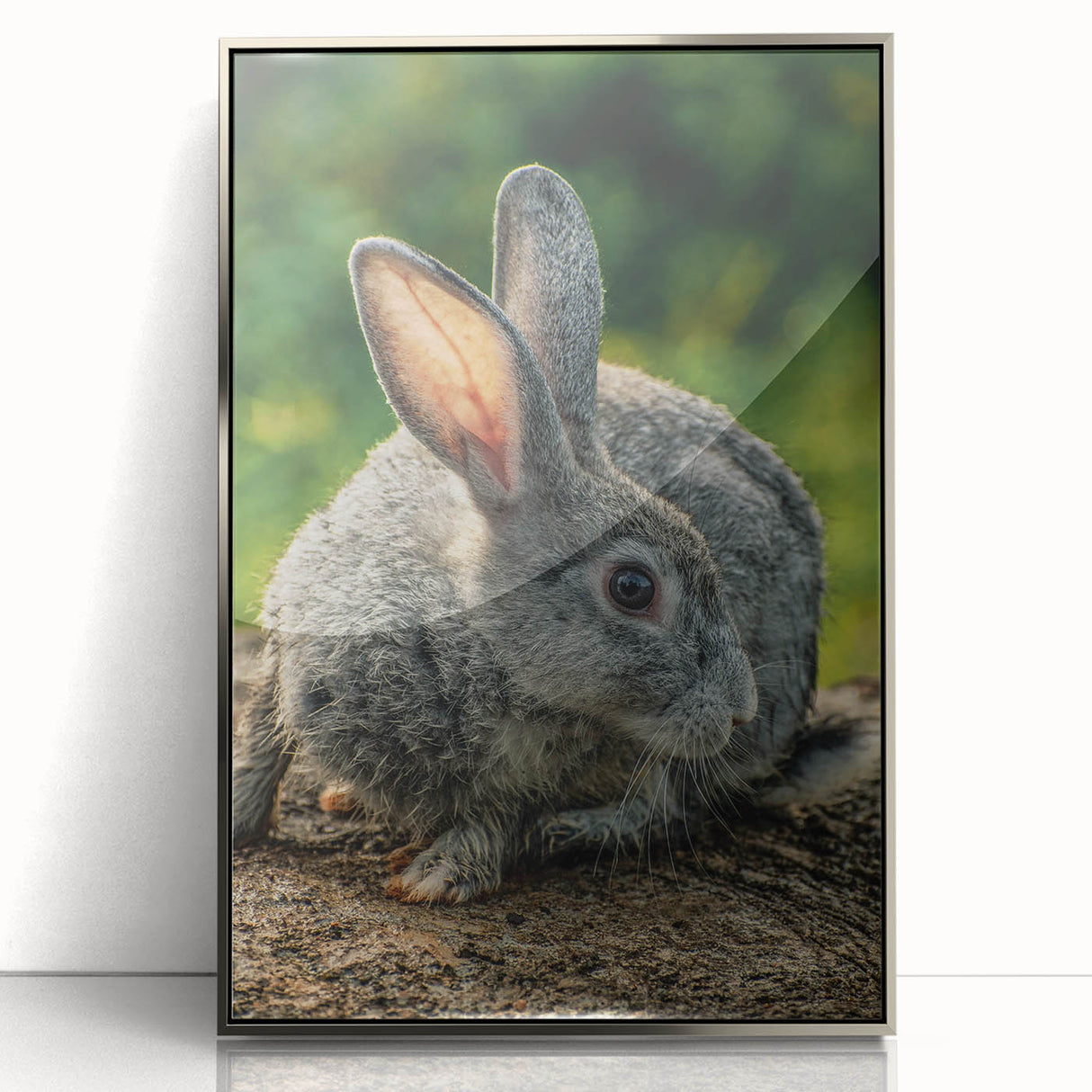 Mid-century modernist art depicting spring season in pastel shades on a silver-framed acrylic print.