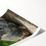 Extra large rolled print featuring line art flowers in pastel shades, ideal for large living room wall art.