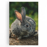 Large black and white abstract depiction of spring on stretched canvas, ideal for kitchen wall art.