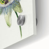 Famous Romantic Era Art: Passion Flower - Romantic Floral Canvas