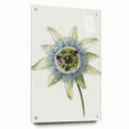 Famous Romantic Era Art: Passion Flower - Romantic Floral Canvas