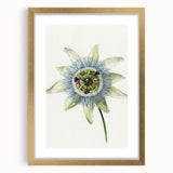Famous Romantic Era Art: Passion Flower - Romantic Floral Canvas
