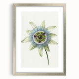 Famous Romantic Era Art: Passion Flower - Romantic Floral Canvas