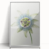 Famous Romantic Era Art: Passion Flower - Romantic Floral Canvas