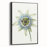 Famous Romantic Era Art: Passion Flower - Romantic Floral Canvas