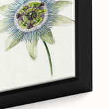 Famous Romantic Era Art: Passion Flower - Romantic Floral Canvas