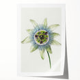 Famous Romantic Era Art: Passion Flower - Romantic Floral Canvas