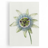 Famous Romantic Era Art: Passion Flower - Romantic Floral Canvas