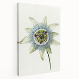 Famous Romantic Era Art: Passion Flower - Romantic Floral Canvas