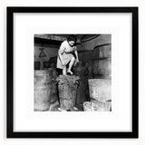 Extra large abstract art print featuring colorful, textured design on a black framed canvas, ideal for living room decor.