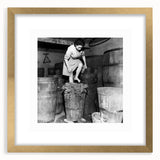 Extra large abstract art print featuring textured swirls in earthy tones, framed in gold, ideal for living room decor.