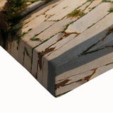 Large art depicting an Algerian landscape in black and white on stretched canvas, suitable for bedroom wall decor.