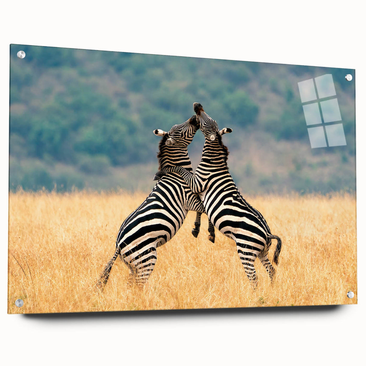 Acrylic glass print of a Kenyan landscape with vibrant greens and earth tones, ideal for dining room decor.