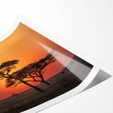 Extra large wall art featuring line art flowers in neutral tones on rolled print, ideal for large living room decor.