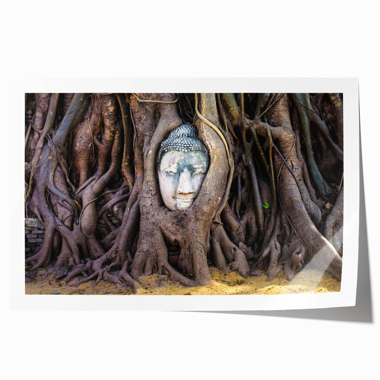 Extra large rolled print of a Laos scenery featuring vibrant green and blue floral art, suitable for dining room walls.