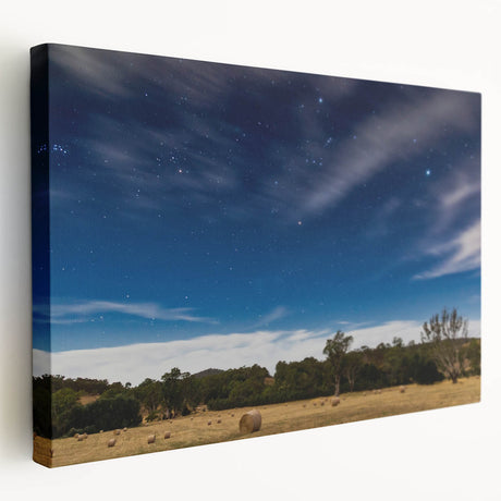 Stretched canvas print of Adelaide scenery in muted earth tones, ideal for kitchen wall art.