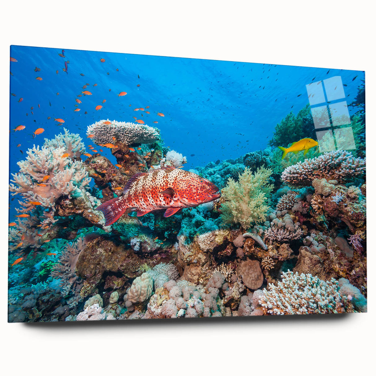 Acrylic print of the Great Barrier Reef in vibrant blues and greens, suitable for bedroom or dining room decor.