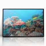 Large abstract wall art depicting the Great Barrier Reef in vibrant blue tones, framed in black acrylic.