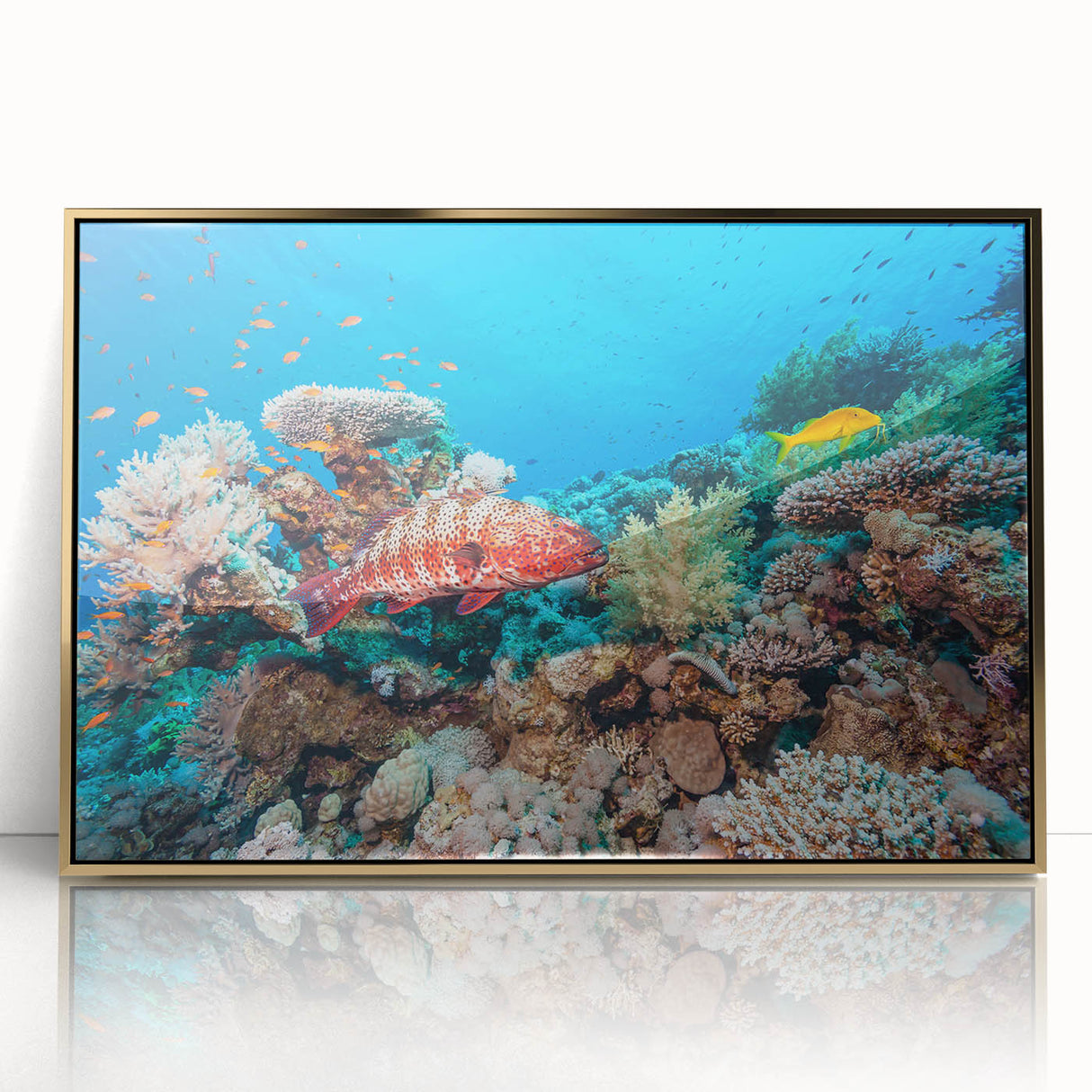 Mid-century modernist art depicting the Great Barrier Reef in vibrant blues and greens on a framed acrylic print.