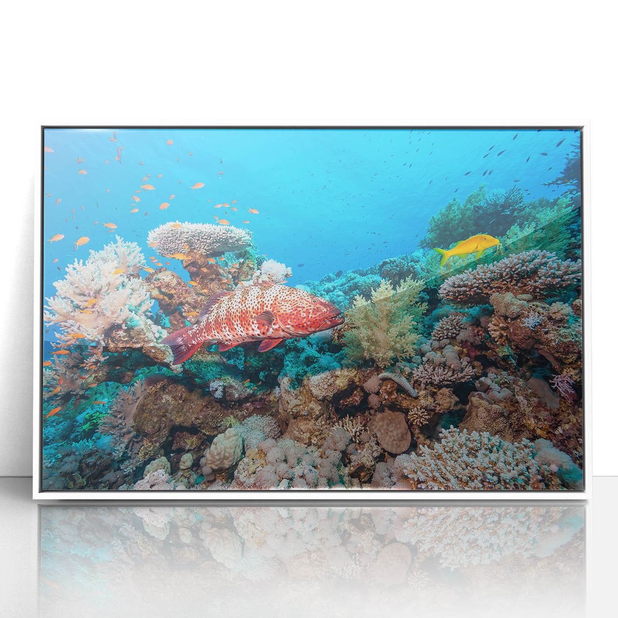 Large art print of the Great Barrier Reef in vibrant blues and greens, framed in white acrylic.