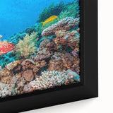 Extra large framed canvas featuring a textured depiction of the Great Barrier Reef in vibrant colors.