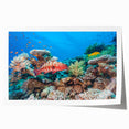 Extra large rolled print featuring the Great Barrier Reef in vibrant blue and green tones.