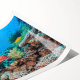 Extra large wall art featuring a detailed line art depiction of the Great Barrier Reef in subtle blue tones.