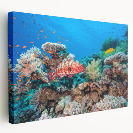 Large canvas print showing the Great Barrier Reef in vibrant blue and green tones, suitable for kitchen wall art.