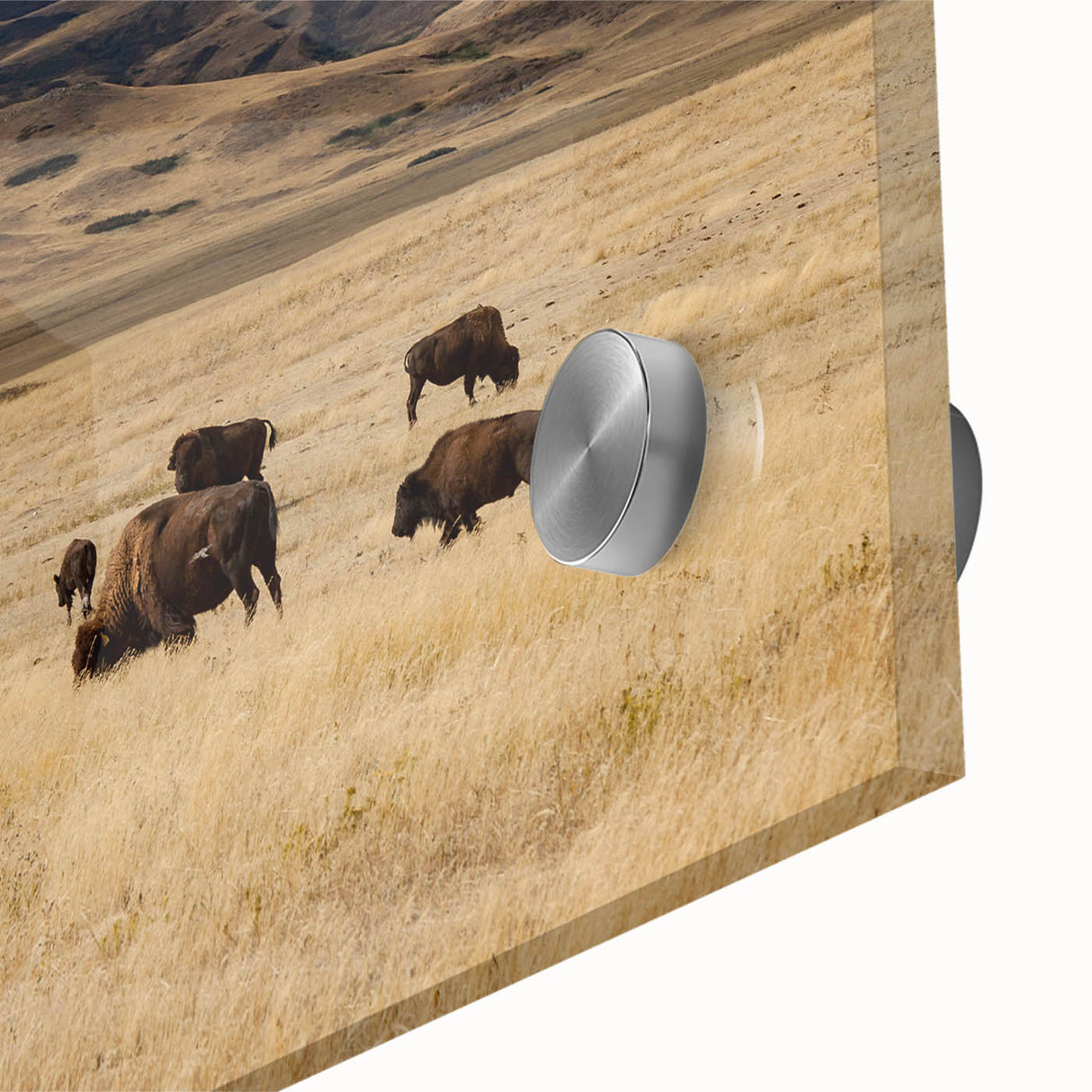 Large abstract wall art depicting Alberta's landscape in muted earth tones on acrylic glass, ideal for dining room art.