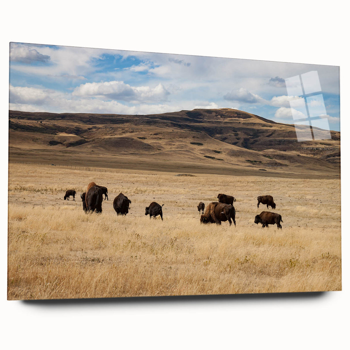 Acrylic print of a large abstract depiction of Alberta, Canada, in cool blue and green tones.
