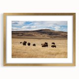 Extra large textured abstract art print of Alberta scenery in gold frame, ideal for living room decor.