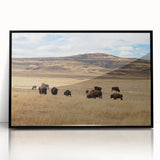 Large abstract wall art featuring Alberta, Canada scenery in muted earth tones on a framed acrylic panel.