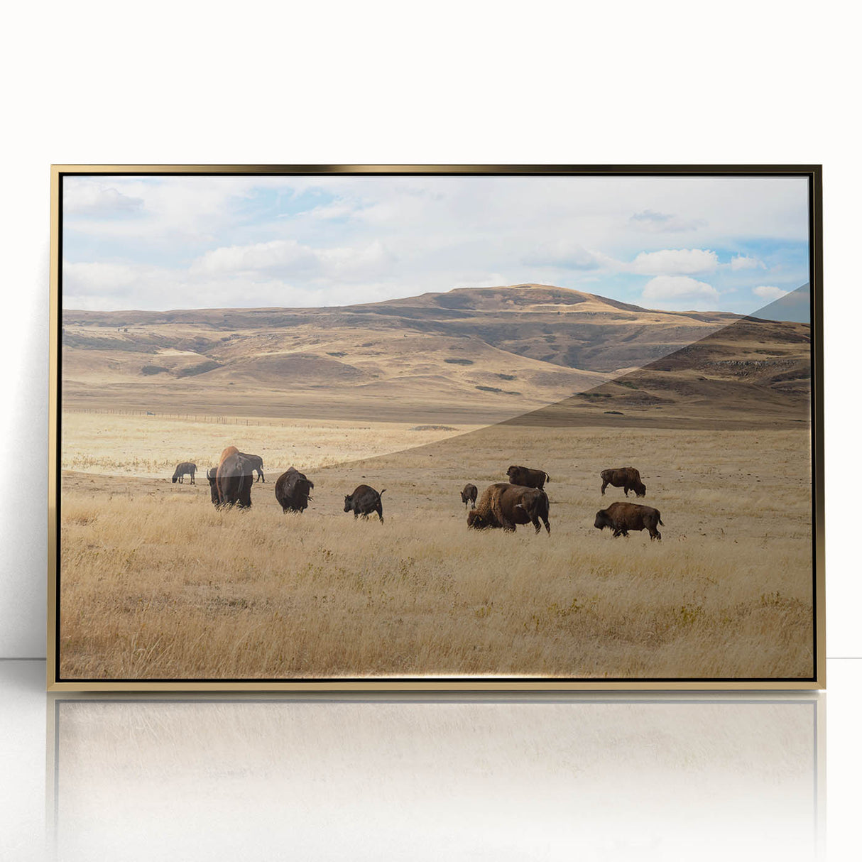 Framed acrylic print of a serene Alberta, Canada landscape in muted earth tones, ideal for modern art wall decor.