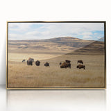 Framed acrylic print of a serene Alberta, Canada landscape in muted earth tones, ideal for modern art wall decor.