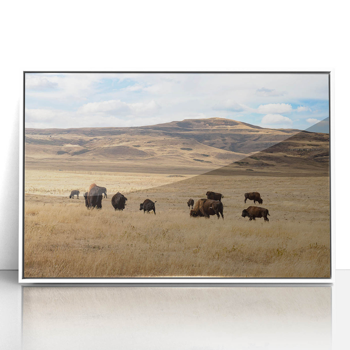 Framed acrylic print of a serene Alberta, Canada landscape in muted green and blue tones, ideal for modern art wall decor.