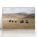Framed acrylic print of a serene Alberta, Canada landscape in muted green and blue tones, ideal for modern art wall decor.