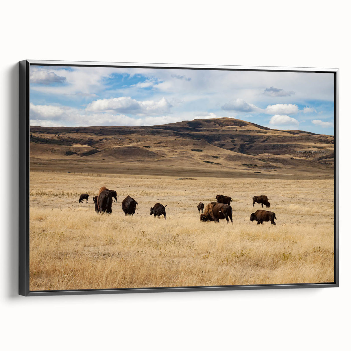 Black and white framed canvas of Alberta landscape, ideal for bedroom wall art, featuring vintage poster style.