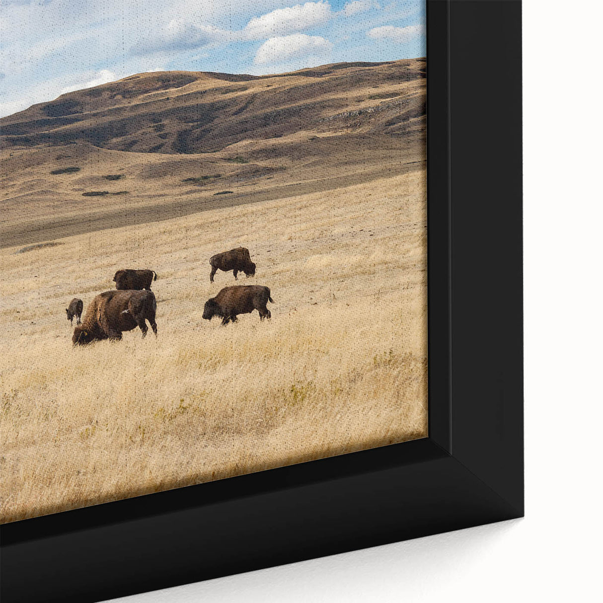 Black wall art depicting Alberta, Canada scenery on a large framed canvas with colorful, textured details.