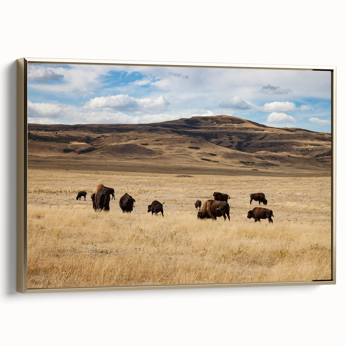 Framed canvas featuring a vintage-style landscape painting of Alberta, Canada, with muted earth tones.