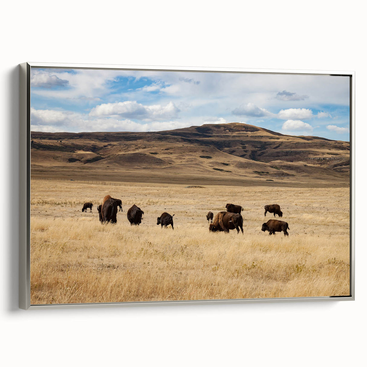 Framed canvas featuring a vintage-style landscape painting of Alberta, Canada, with muted earth tones.
